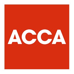 f1-accountant-in-business